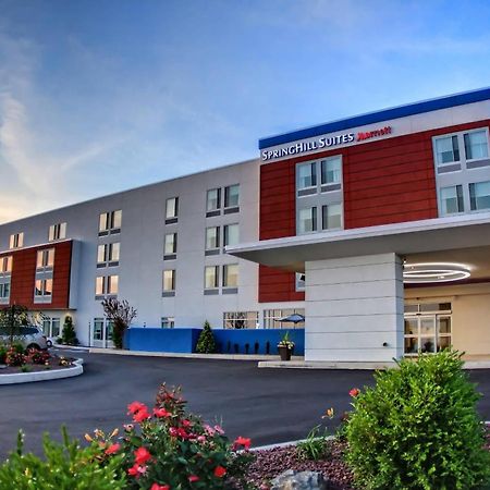 Springhill Suites By Marriott Scranton Montage Mountain Moosic Extérieur photo